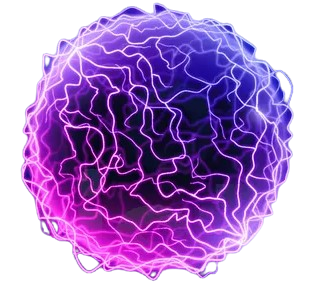Brain